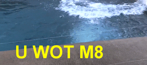 9T1vwR6.gif