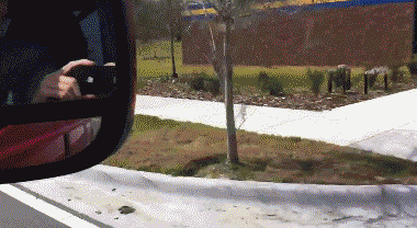 SuI0Y.gif