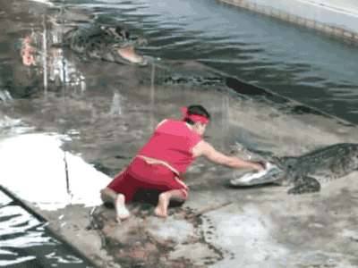 tumblr_o464101Aoz1s02vreo1_400.gif