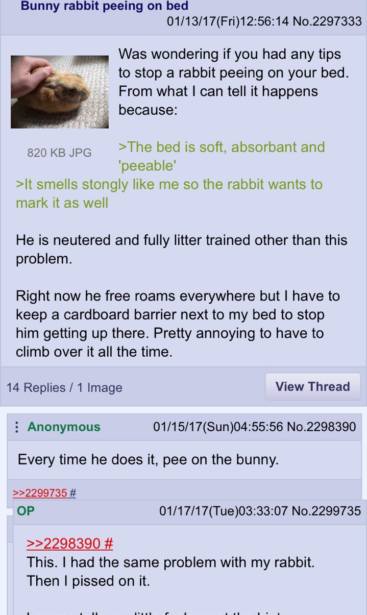 h6tfCy6.jpg