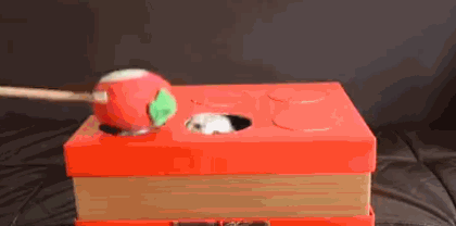 8VFggj4.gif