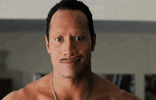 The_Rock_Browstaches.0.gif
