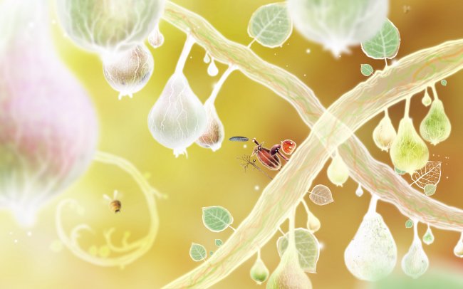 botanicula_392151.jpg