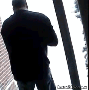 ZoH5Cx4.gif