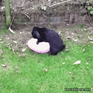 tumblr_nps5tgFx9I1s02vreo1_400.gif