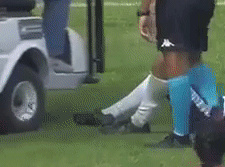 tumblr_pl2kcrTzDY1vvwgg7o2_250.gif