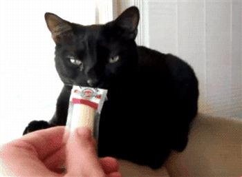 p5S1rFE.gif