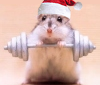 boub400si4i543wh0.png