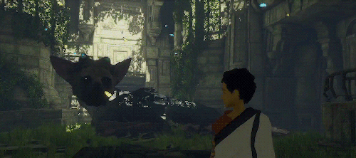 tumblr_o7t7riIYmA1t6xtc8o3_r1_500.gif