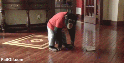 4AkH.gif