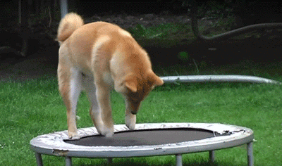 MTiOtUC.gif