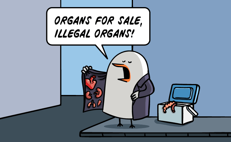 5.png