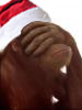 bolpisjekfio6klir.png