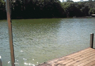 hornoxe.com_gifdump111_24.gif