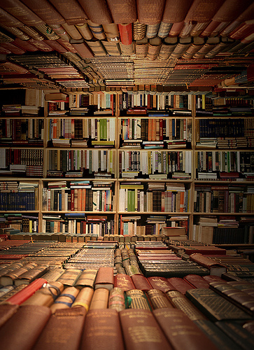 book-oasis.jpg