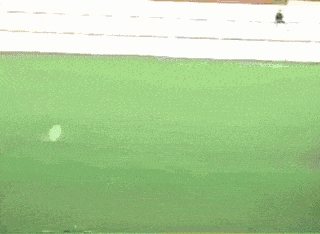 zUFY4LH.gif