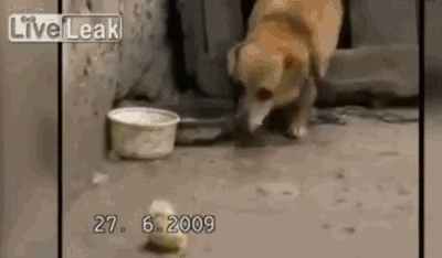 grGMm7i.gif