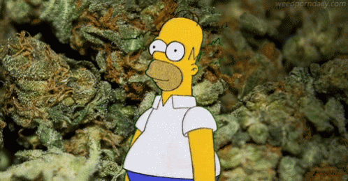 1*bTCDIWGeKyKzgOchTTkr9g.gif