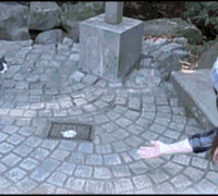 vCttL.gif
