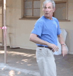 giphy.gif