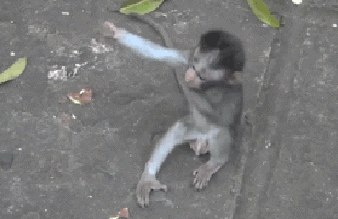 VHdWBA7CeRxWU.gif