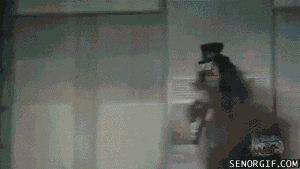 f8ba212f-1054-4699-a92c-9a368fa446c8.gif