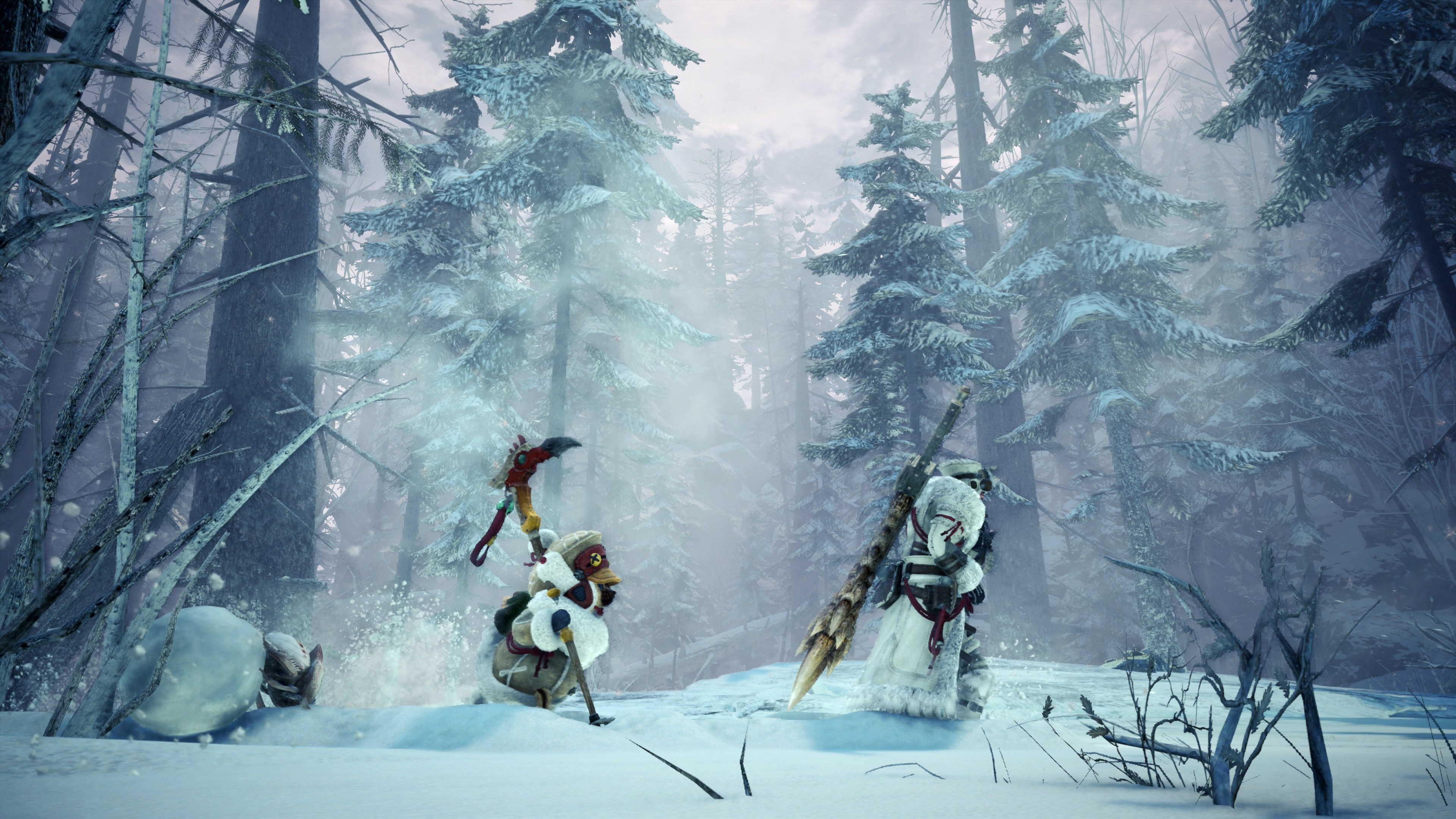 3532167-hoarfrost_reach1_bmp_jpgcopy.jpg