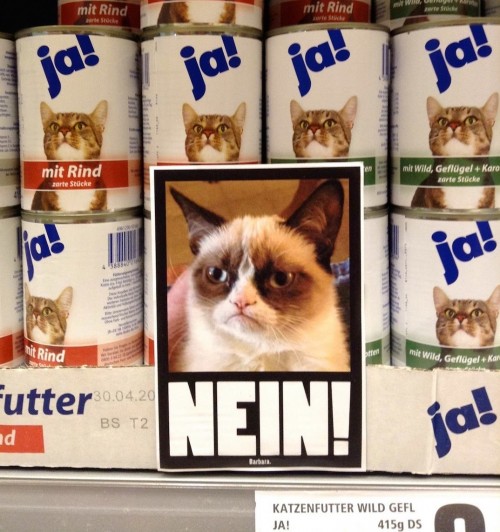 thumbs_picdump382_008.jpg