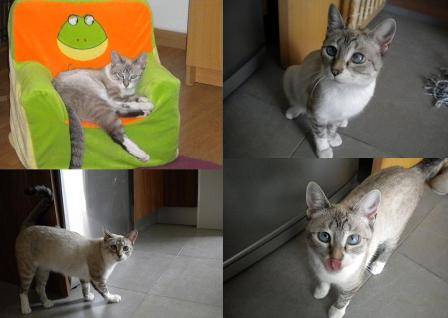 greta%20alle%201.jpg