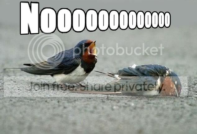 NOOOOOOOOOOOOOO.jpg