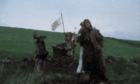 200w.gif