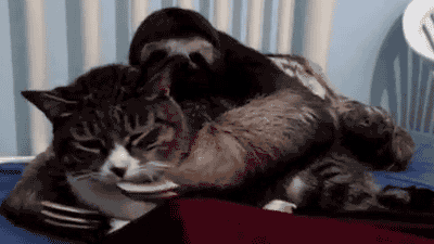 GLI9E4r.gif