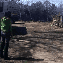 giphy.gif