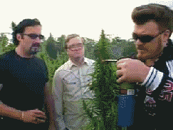 227297.gif