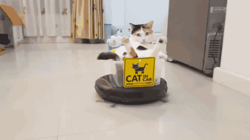 tumblr_od79loQuK01s02vreo1_500.gif