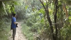 tumblr_n716v6rZZp1tpmgf1o1_400.gif