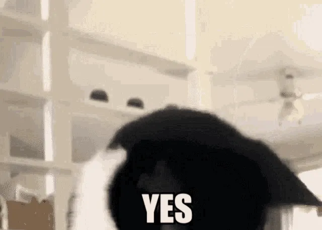 VqMG_f-maxage-0.gif