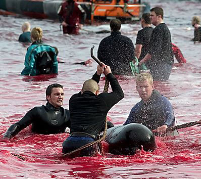 faroe.jpg