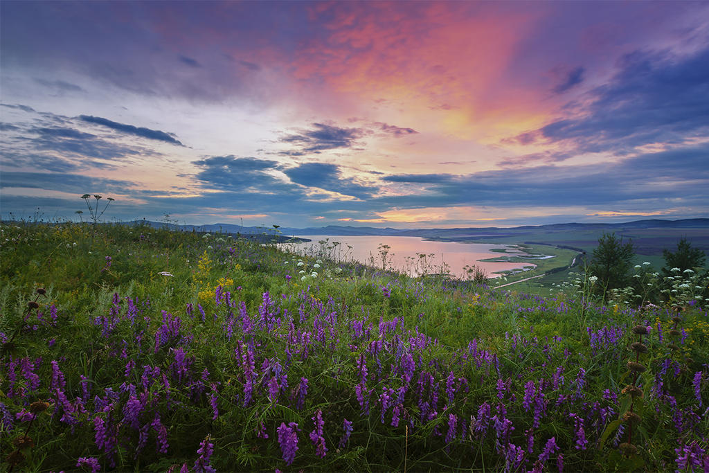 _siberian_summer__by_yanagl-d7sn892.jpg