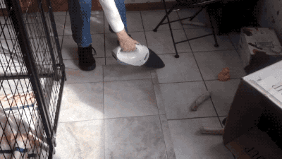 tumblr_nto8q32gkC1s02vreo8_400.gif