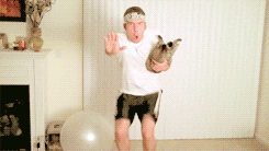 giphy.gif