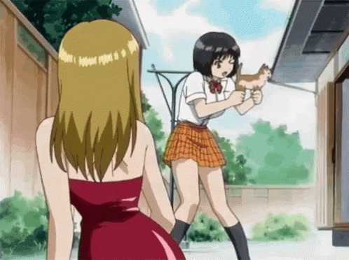 cat-gun.gif