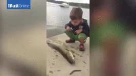 MeB34Bu.gif