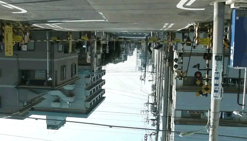 tumblr_lqw5dmZCfS1qzs6oc.gif