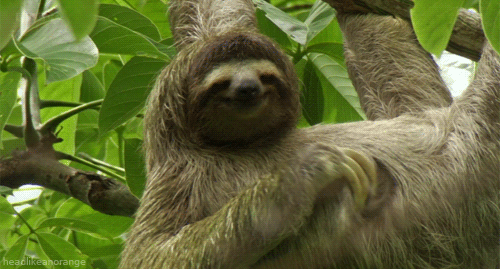 759bdf28850af037459a43135a465ad6.gif