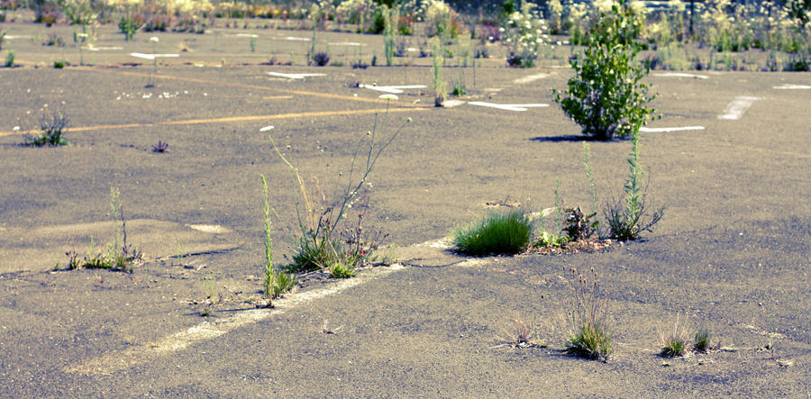 abandoned_6_by_rps05-d3vr7fh.jpg