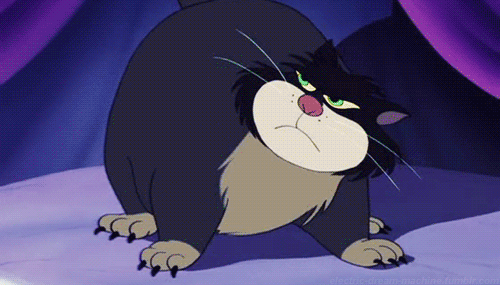 tumblr_lfb75l7fbz1qzerd2o1_500.gif