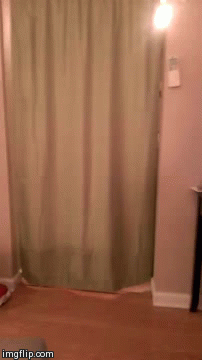 tumblr_o29hm8EJ4e1ulwx2to1_250.gif