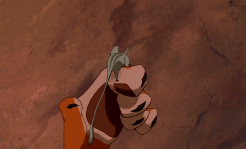 tumblr_miui867oe01s60kgvo1_500.gif
