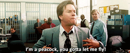 tumblr_mrq8pivysf1rm8en1o1_500.gif